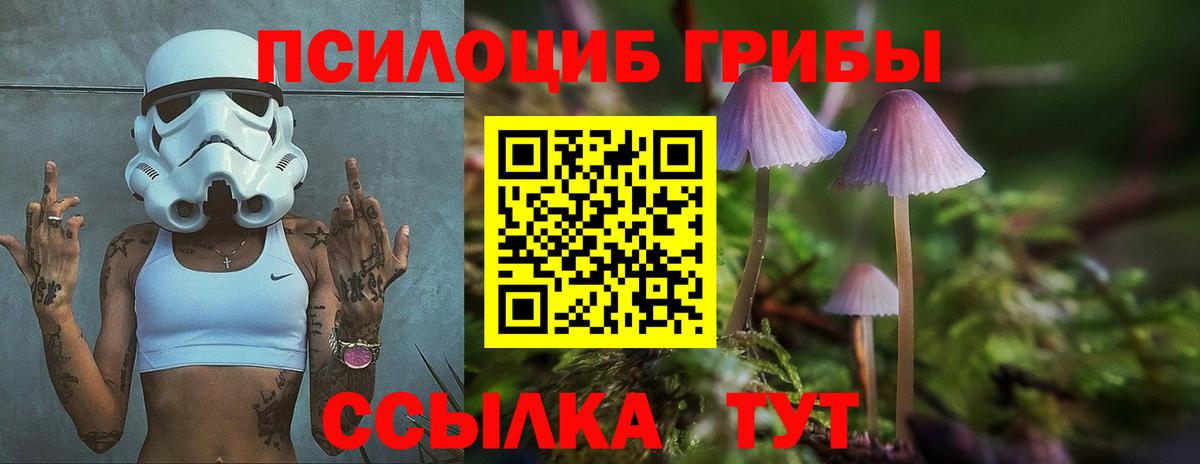 как найти   Вход с VPN  Усинск  Галлюциногенные грибы прущие грибы 